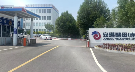 智慧物流车辆管理系统的实地调研工作