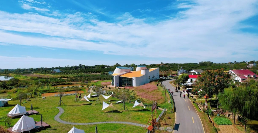 向巷村数字乡村